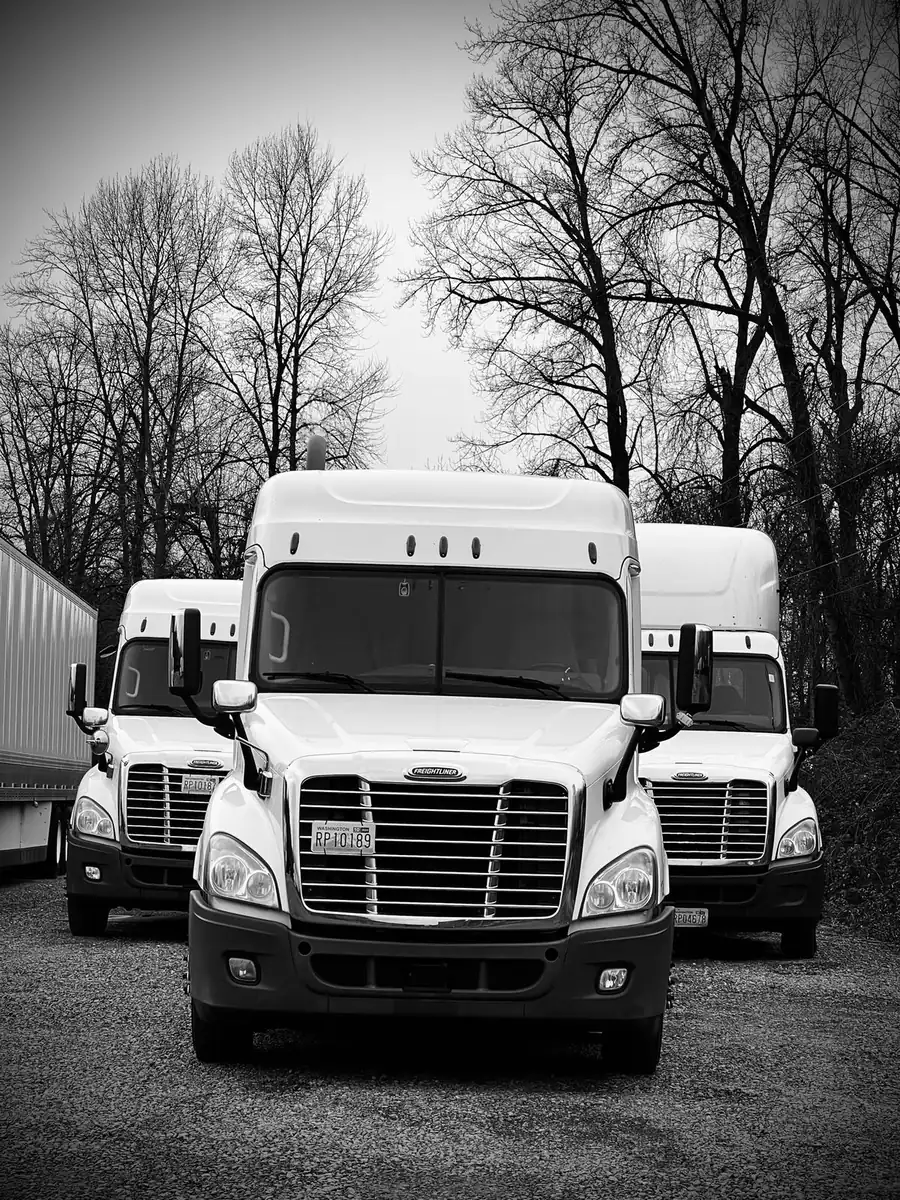 Black and white front view of D&G Transport Freightliner tractors in the yard