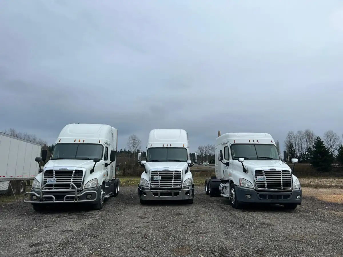 Three white D&G Transport Freightliner tractors lined up in the yard