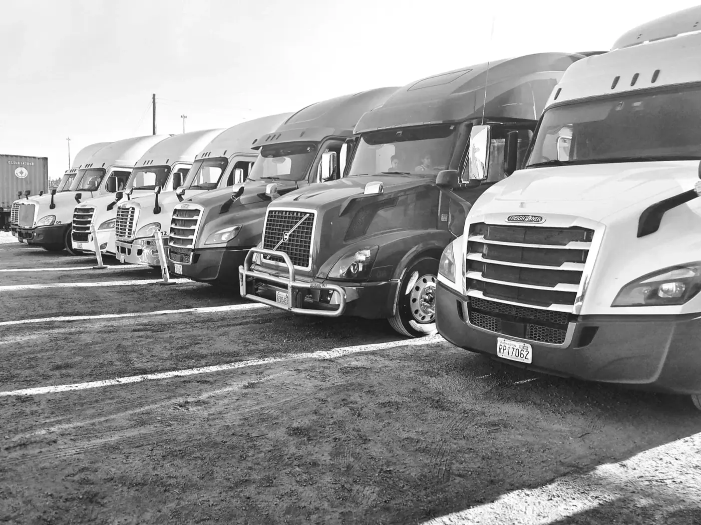 Black-and-white close view of D&G Transport tractors lined up together, grilles facing the camera